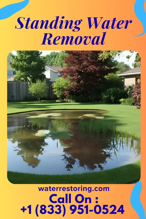 Standing Water Removal in Kimball, SD